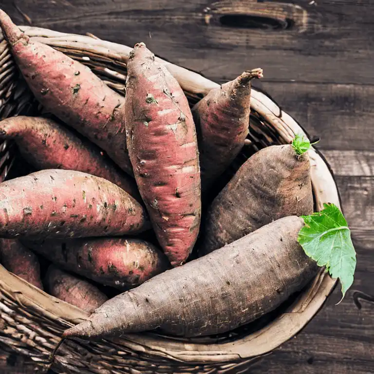 Ubi keledek untuk cek mek molek