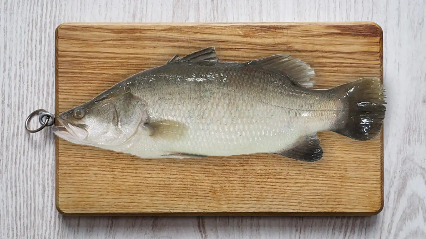 koleksi resepi ikan siakap yang sedap